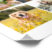 Creëer uw eigen social media fotocollage Poster (Hoek)