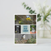 Creëer uw eigen tuin vogel foto collectie briefkaart (Staand voorkant)