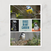 Creëer uw eigen tuin vogel foto collectie briefkaart (Voorkant)