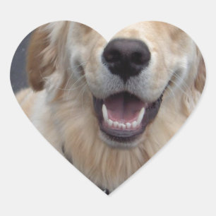 Creëer uw eigen uitdrukkingen! Eenvoudig te gebrui Hart Sticker