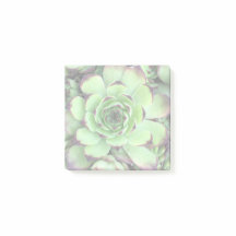 Creëer Uw eigen verlichte foto