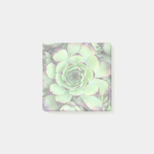 Creëer Uw eigen verlichte foto Post-it® Notes (Voorkant)