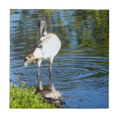 Creëer uw eigen vierkant tegel - witte Ibis Tegeltje (Voorkant)