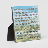 creëer uw eigen vliegtuigcaricatuur fotoplaat (Voorkant)