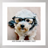 Creëer Uw eigen witte rand met één fotogalerie Poster (Voorkant)