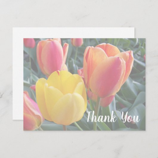 Creëer Uw eigen zachte kleuren Foto Hartelijk dank Briefkaart (Voorkant / Achterkant)