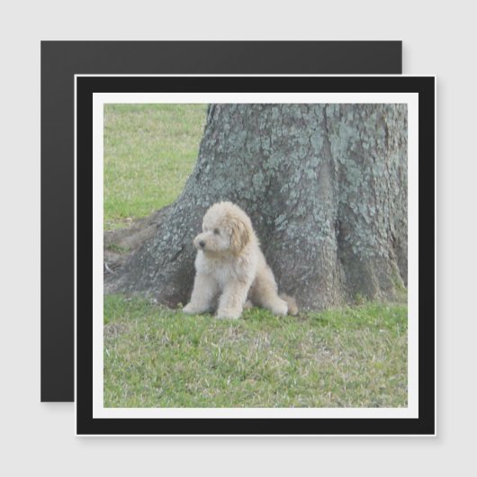 Creëer Uw Eigen Zwart & Wit Vierkante Fotomagneet (Voorkant / Achterkant)