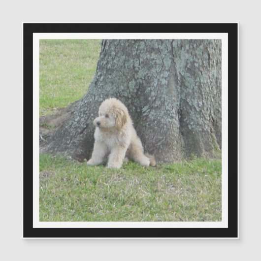 Creëer Uw Eigen Zwart & Wit Vierkante Fotomagneet (Voorkant)