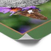 Creëer uw foto vlinder op Aster Flower Lijst Poster (Hoek)