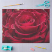 Creëer voor u elegant de groet personaliseert tissuepapier (Craft)