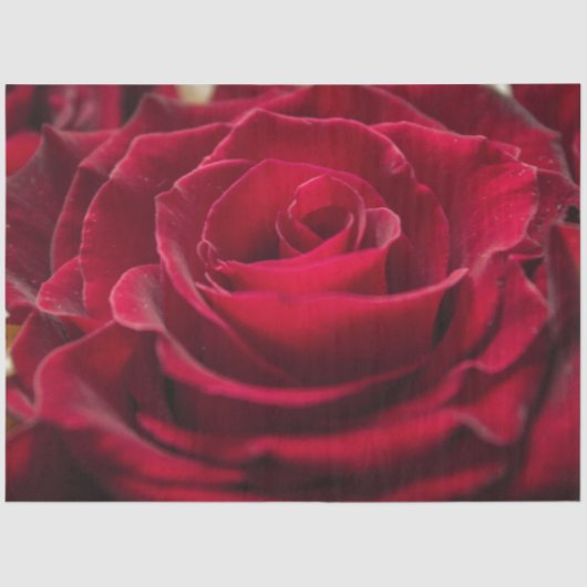 Creëer voor u elegant de groet personaliseert tissuepapier (Voorkant)