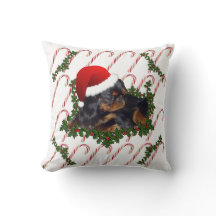 Creëer Your Holiday Foto