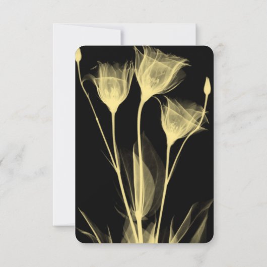 Creëer Your Own - Drie röntgenbloemen RSVP Kaartje (Achterkant)