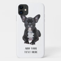 Creëer Your Own French Bulldog