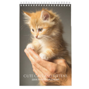 Creëer Your Own Pet Cat Foto's 2025 Kleine Kalende Kalender