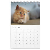 Creëer Your Own Pet Cat Foto's 2025 Kleine Kalende Kalender (Jan 2026)