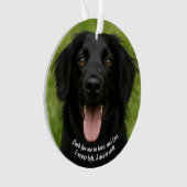 Creëer Your Own Pet's Photo Memorial Ornament (voorkant)
