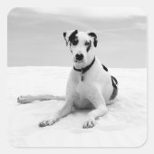 Creëer-Your-Own-Photo-Upload Gift Label Stickers (Voorkant)