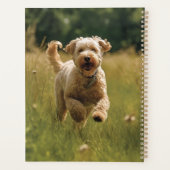 Creëer Your Paws Planner met de foto's van je huis (Achterkant)