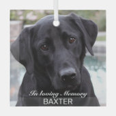Creëer Your Pet Memorial Foto Glas Ornament (Voorkant)