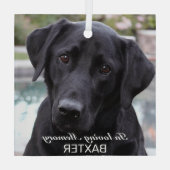 Creëer Your Pet Memorial Foto Glas Ornament (Achterkant)