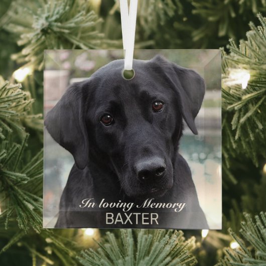 Creëer Your Pet Memorial Foto Glas Ornament (Insitu)