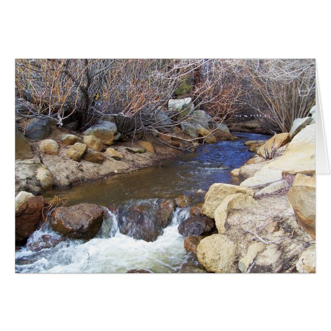 Creek (Voorkant Horizontaal)