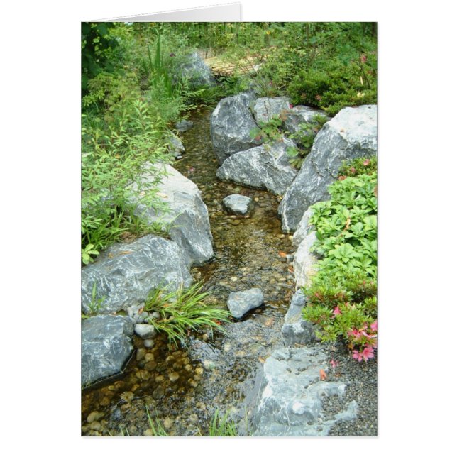 Creek (Voorkant)