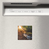 Creek Bank Sunrise Magneet (Insitu (Vaatwasser))