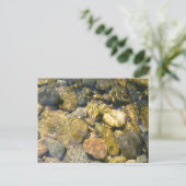 Creek Bed Briefkaart (Staand voorkant)