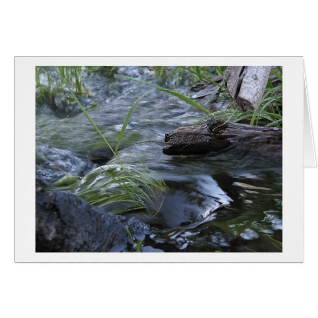 Creek between Kibbie and Flora Lakes (Voorkant Horizontaal)