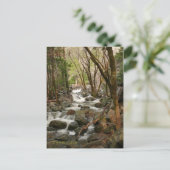 Creek bij Bridal Veil Herfsten, Yosemite Briefkaart (Staand voorkant)