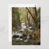 Creek bij Bridal Veil Herfsten, Yosemite Briefkaart (Voorkant / Achterkant)