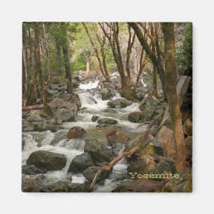Creek bij Bridal Veil Herfsten, Yosemite Magneet
