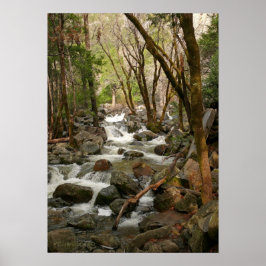 Creek bij Bridal Veil Herfsten, Yosemite Poster