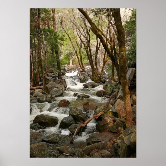 Creek bij Bridal Veil Herfsten, Yosemite Poster (Voorkant)