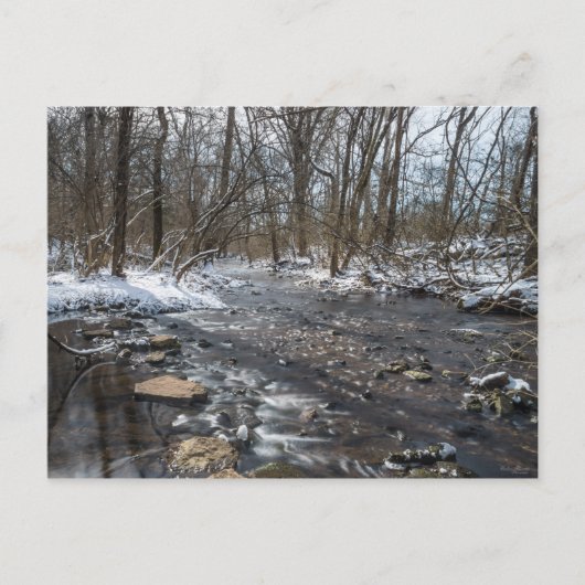 Creek bij Sequiota Briefkaart (Voorkant)