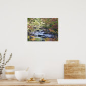 Creek in Connecticut Poster (Keuken)