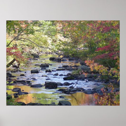 Creek in Connecticut Poster (Voorkant)
