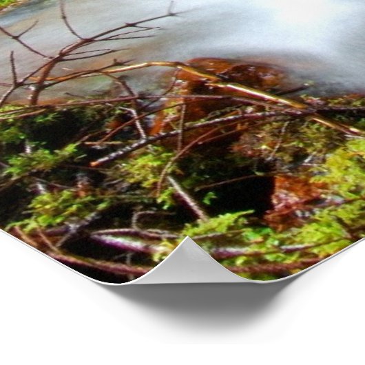 Creek in het Nationaal Park Mt. Rainier Poster (Hoek)