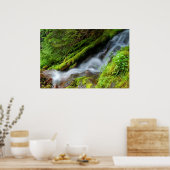 Creek in het Nationaal Park Mt. Rainier Poster (Keuken)