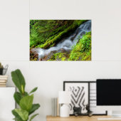 Creek in het Nationaal Park Mt. Rainier Poster (Thuiskantoor)