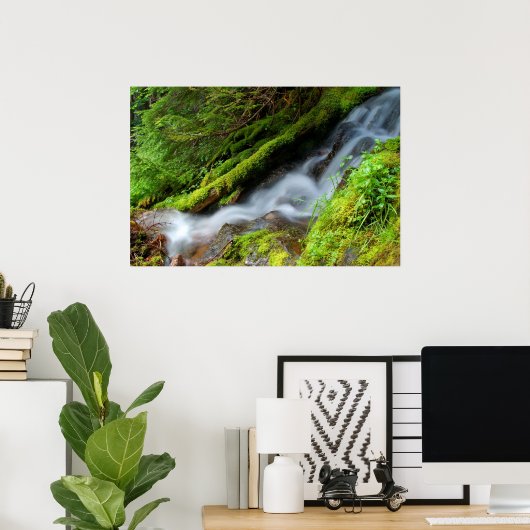 Creek in het Nationaal Park Mt. Rainier Poster (Thuiskantoor)