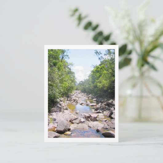 Creek in het Venezolaanse Oerwoud Briefkaart (Staand voorkant)