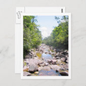 Creek in het Venezolaanse Oerwoud Briefkaart (Voorkant / Achterkant)