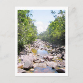 Creek in het Venezolaanse Oerwoud Briefkaart