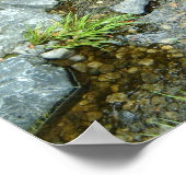 Creek in Japan Poster (Hoek)