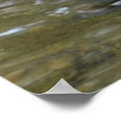 Creek Mallard Duck Poster wissen (Hoek)