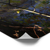 Creek met Bridge Poster (Hoek)