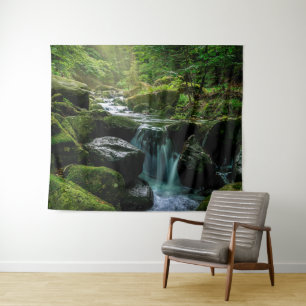 Creek, Mossy Rocks, Forest Natuur Photography Wandkleed